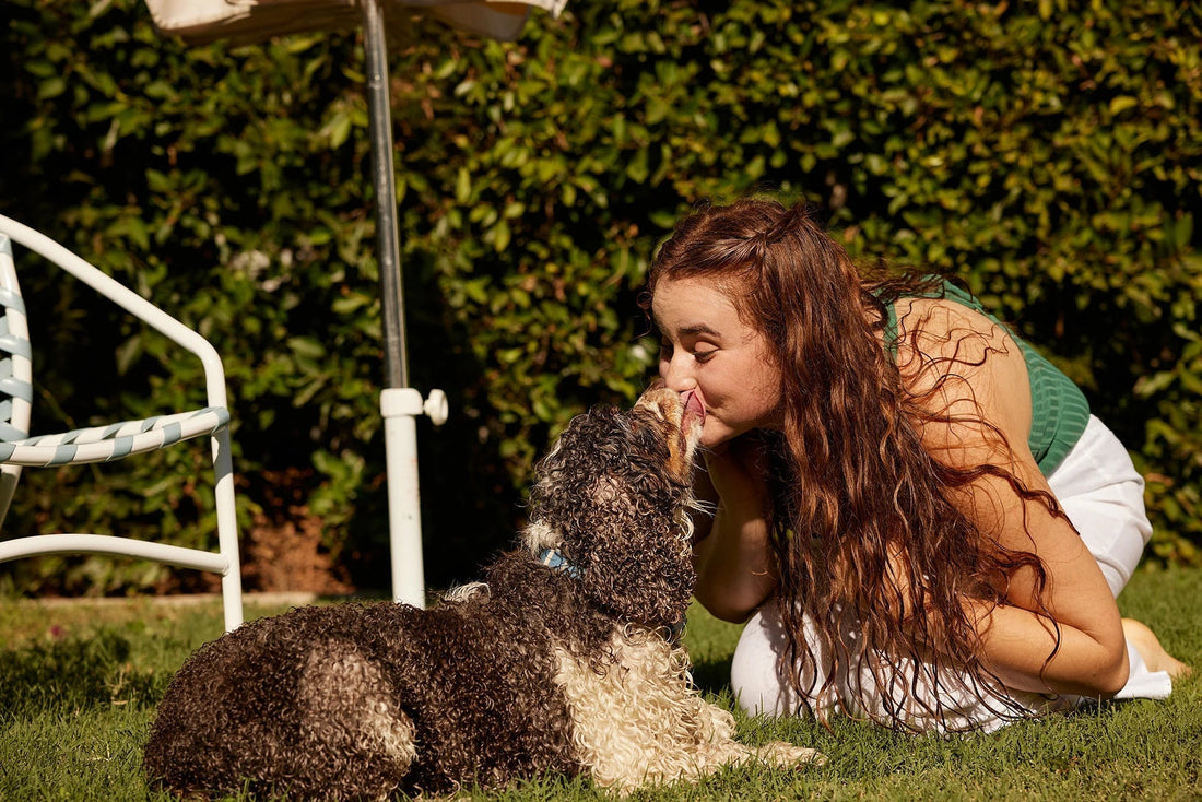 Am I Ready for a Dog? A Guide for Future Dog Owners