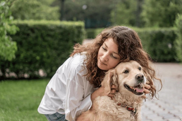 how to socialize a dog