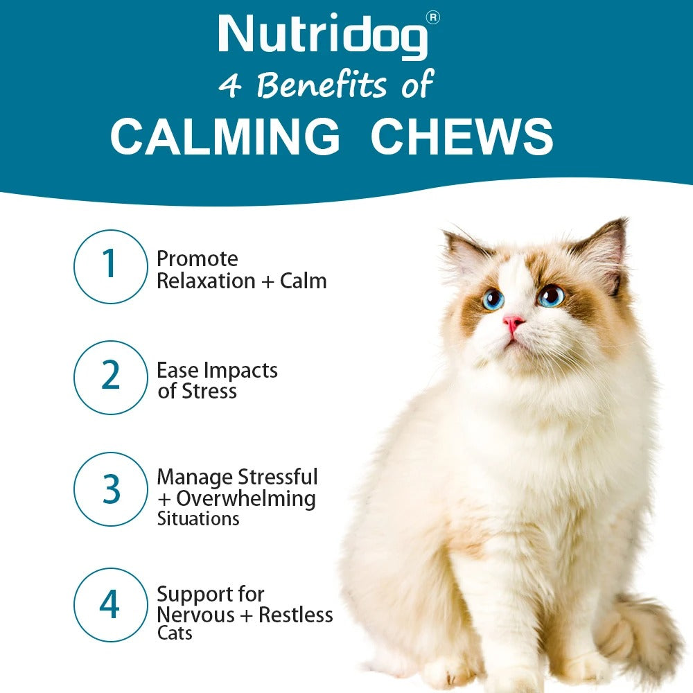 Cat Calming Chews – Anxiety & Stress Relief Treats