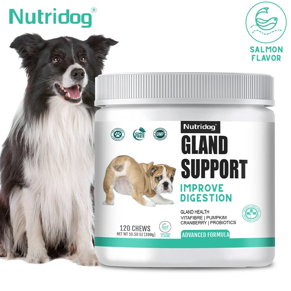 Dog Anal Gland Support – Fiber & Salmon Chews for Relief