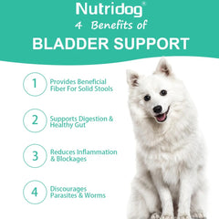 Dog Anal Gland Support – Fiber & Salmon Chews for Relief