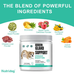 Dog Anal Gland Support – Fiber & Salmon Chews for Relief