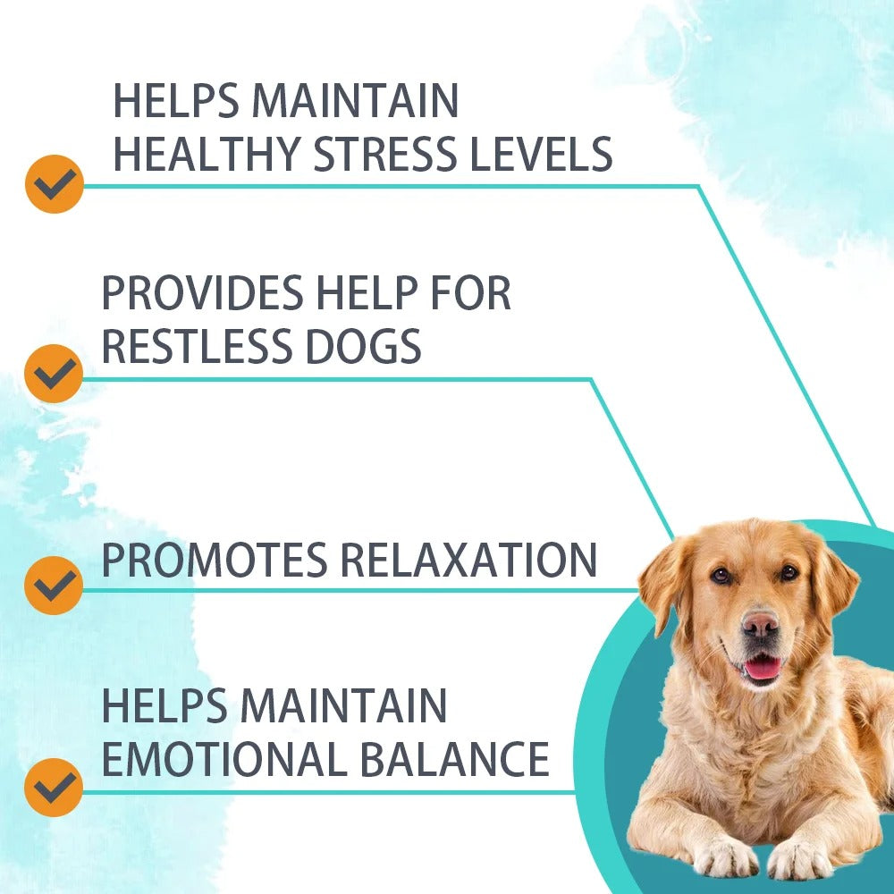 Dog Calming Powder – Anxiety, Stress & Sleep Support