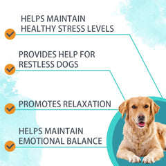Dog Calming Powder – Anxiety, Stress & Sleep Support