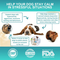Dog Calming Powder – Anxiety, Stress & Sleep Support