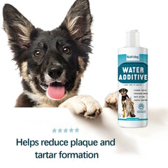 Dog & Cat Dental Water Additive – Fresh Breath & Plaque Control
