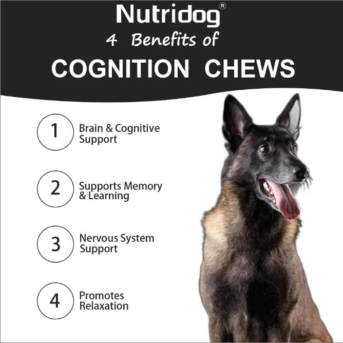 Dog Cognition Chews – Memory, DHA & Brain Support