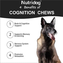 Dog Cognition Chews – Memory, DHA & Brain Support
