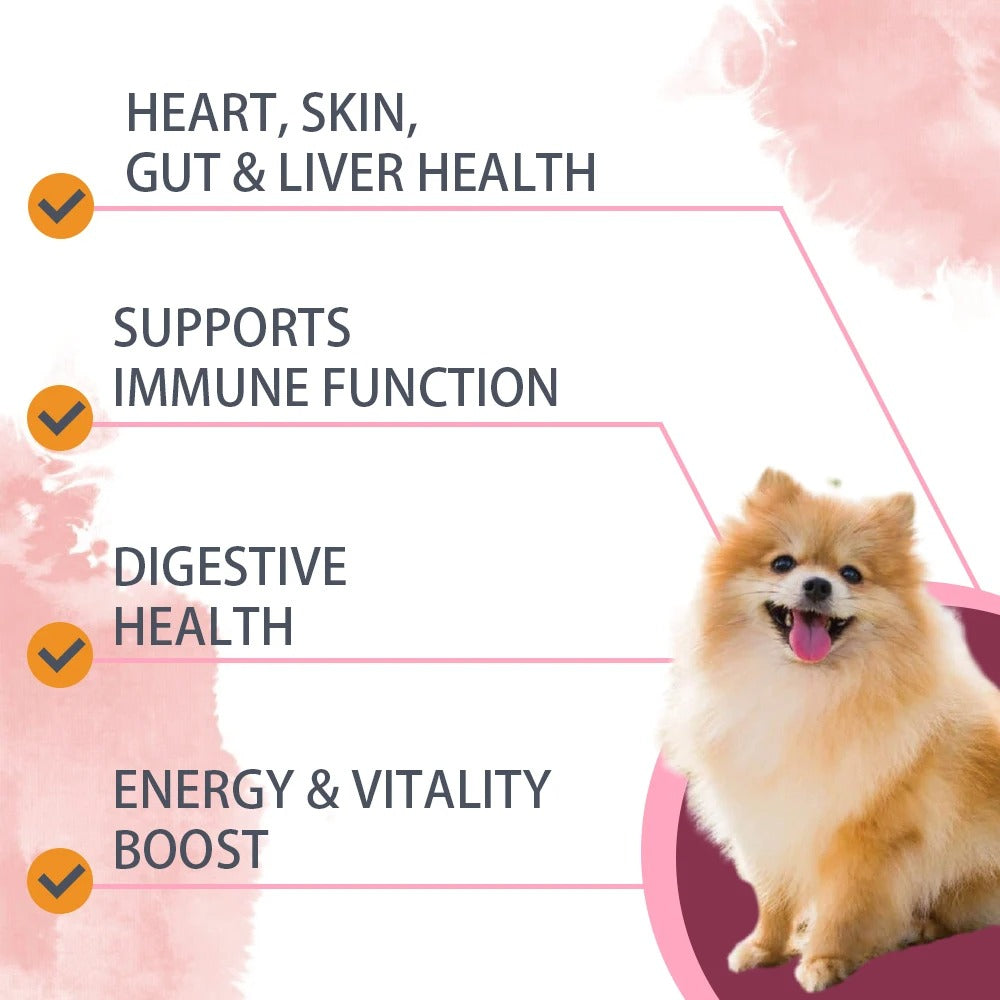 Dog Multivitamin Chews Probiotics, Joint & Immune Support