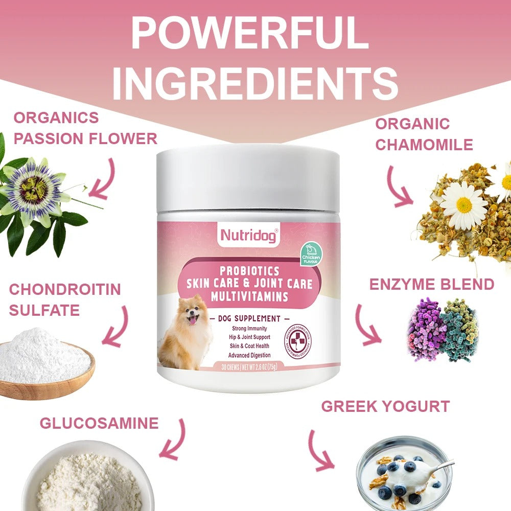 Dog Multivitamin Chews Probiotics, Joint & Immune Support