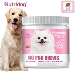 Dog No Poo Chews – Stop Poop Eating & Support Gut Health