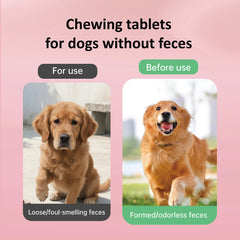 Dog No Poo Chews – Stop Poop Eating & Support Gut Health