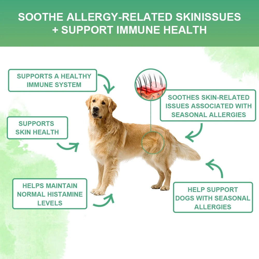 Dog Skin & Allergy Chews – Anti-Itch & Immune Support