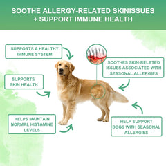 Dog Skin & Allergy Chews – Anti-Itch & Immune Support