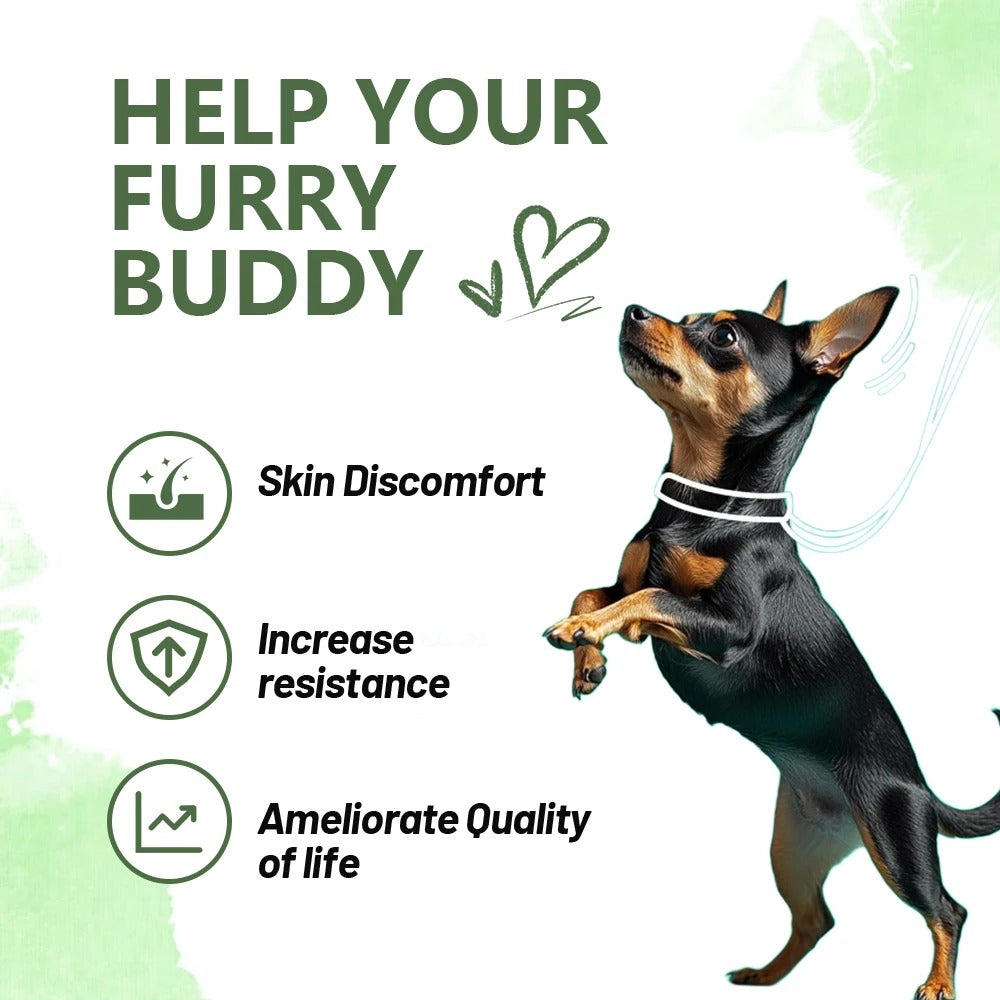 Dog Skin & Allergy Chews – Anti-Itch & Immune Support