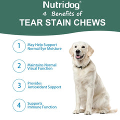 Dog Tear Stain Chews – Cranberry, Omega-3 & Eye Health Support