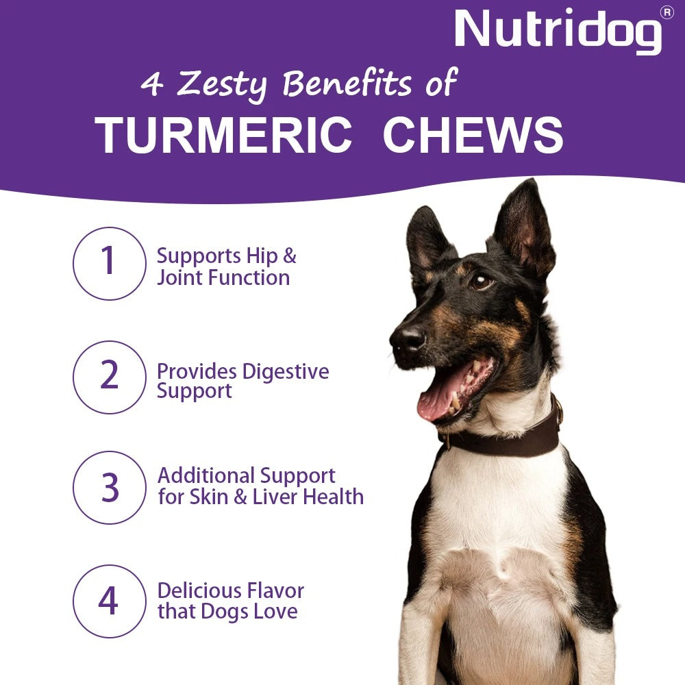 Dog Turmeric Chews – Anti-Inflammatory Joint & Mobility Support
