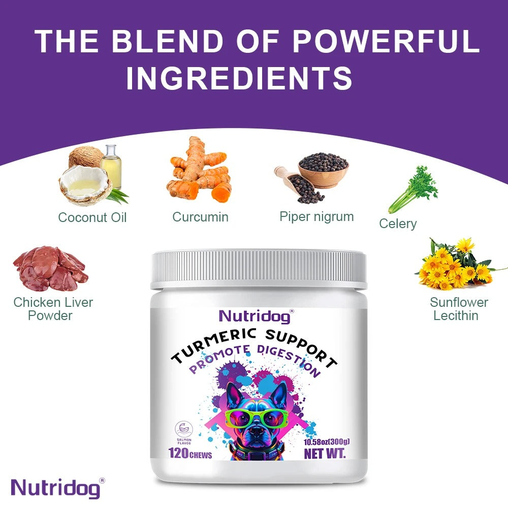 Dog Turmeric Chews – Anti-Inflammatory Joint & Mobility Support