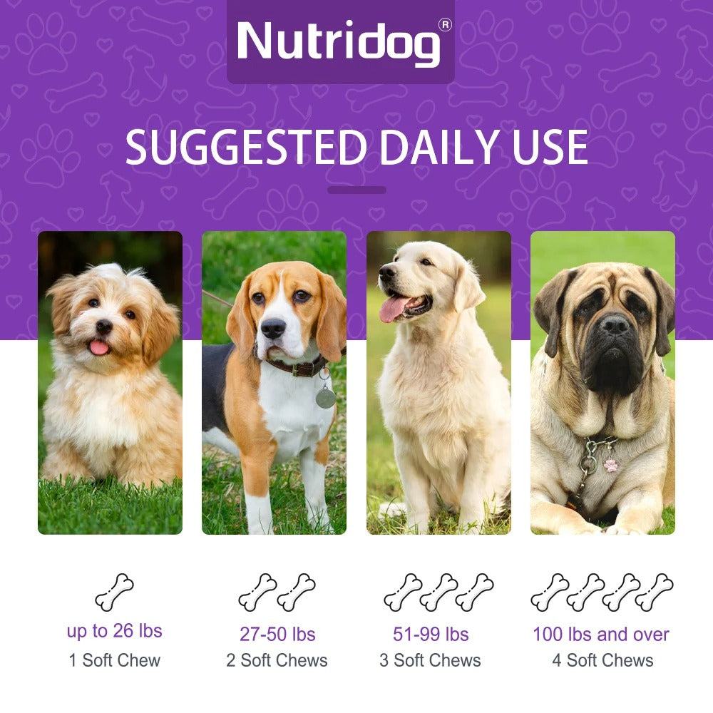 Dog Turmeric Chews – Anti-Inflammatory Joint & Mobility Support